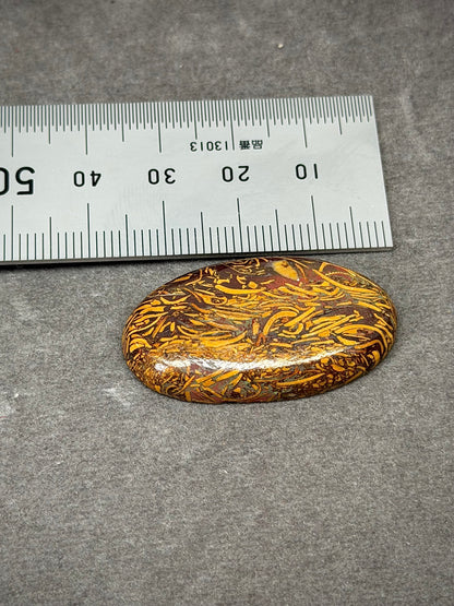 Jasper | Elephant Skin