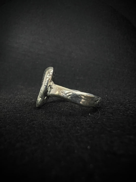 Freeform | Timeless