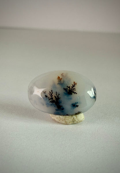 Dendritic Agate