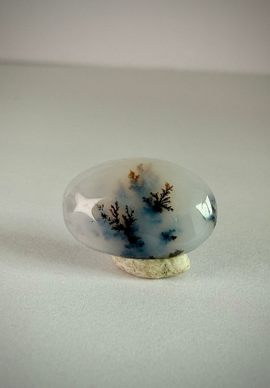 Dendritic Agate