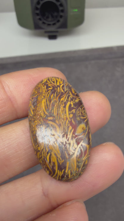 Jasper | Elephant Skin